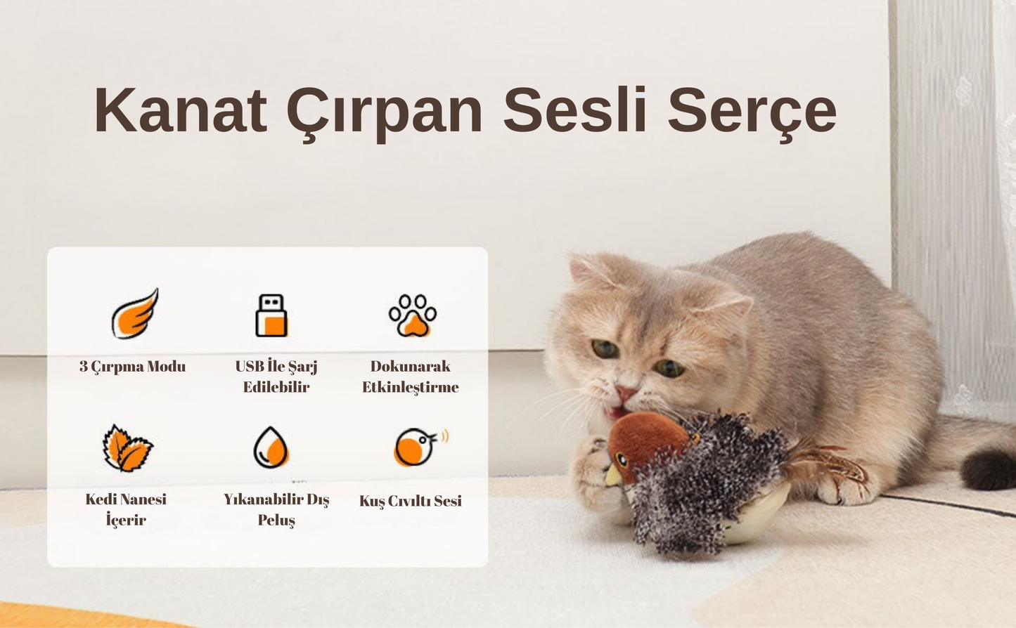 Pativit Cikcik Çırpınan Kuş (Uçmuyor)