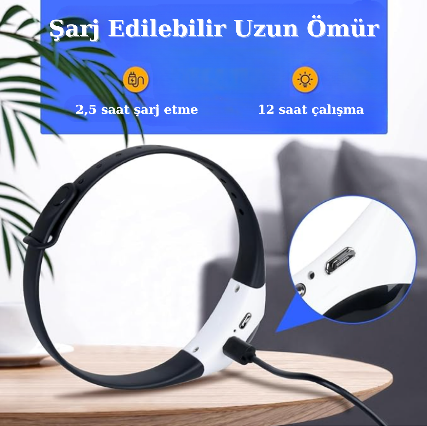 Pativit Etkileşimli Lazer Tasma