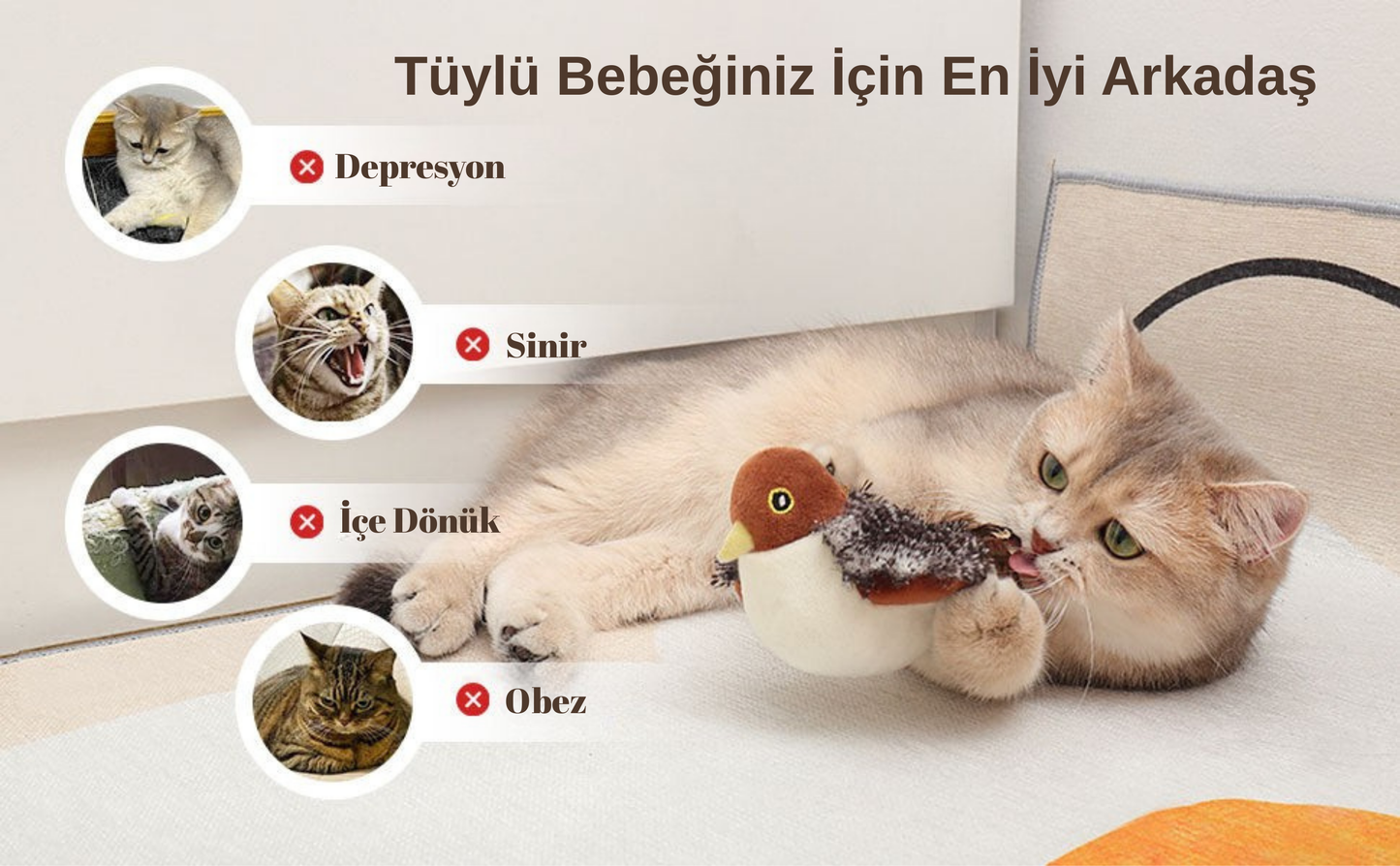 Pativit Cikcik Çırpınan Kuş (Uçmuyor)