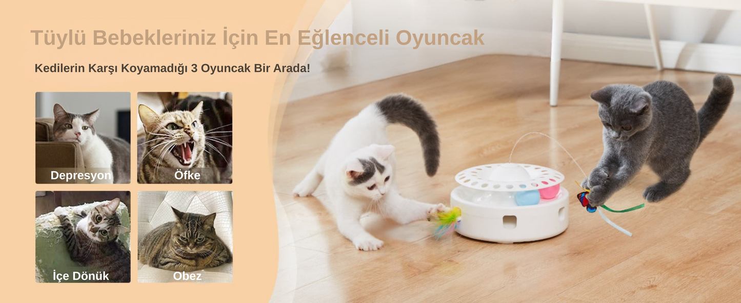 Pativit 3'ü 1 Arada İnteraktif Oyuncak