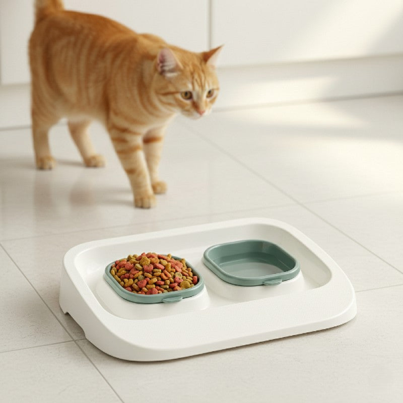 Yeşil 2'si 1 Arada Mama Ve Su Kabı