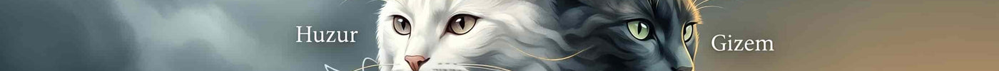 Rüyada Kedi Görmek: Anlamı ve Yorumları