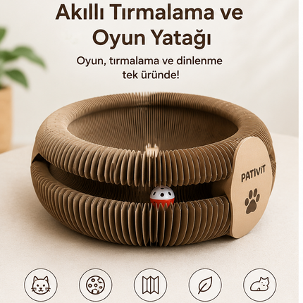 Akıllı Karton Oyuncak