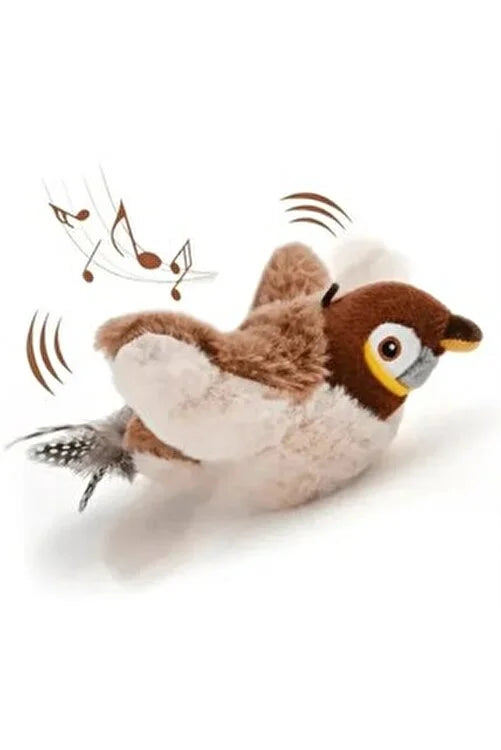 Pativit Cikcik Çırpınan Kuş