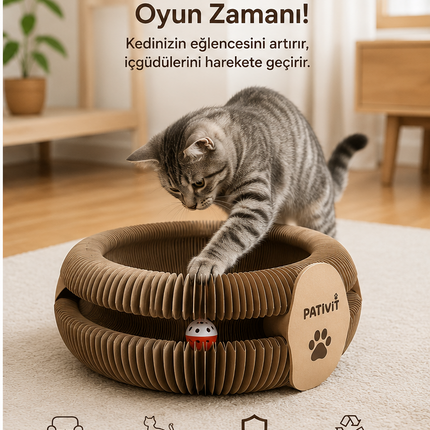 Akıllı Karton Oyuncak