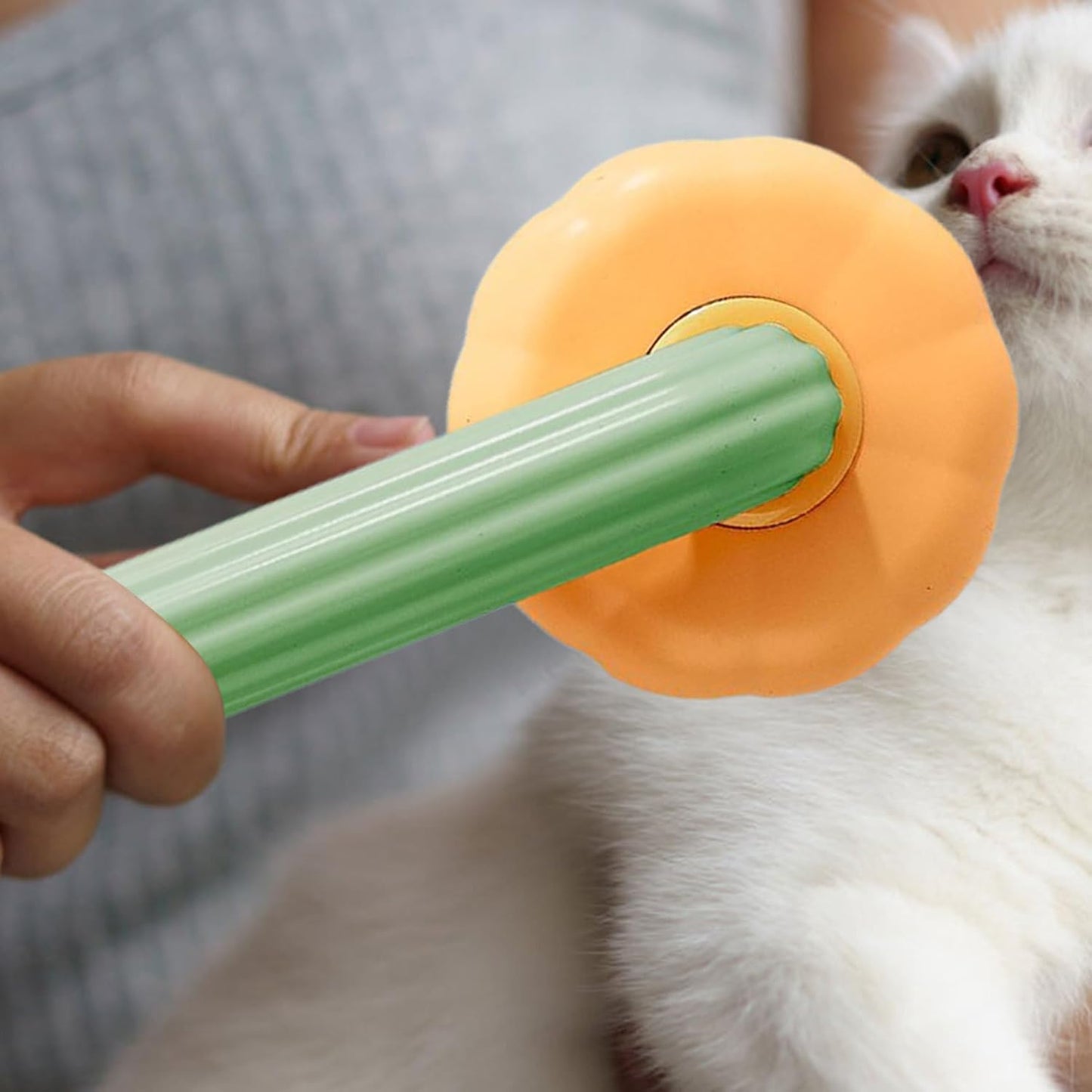 Bal Kabağı Kedi & Köpek Tüy Toplama Tarağı