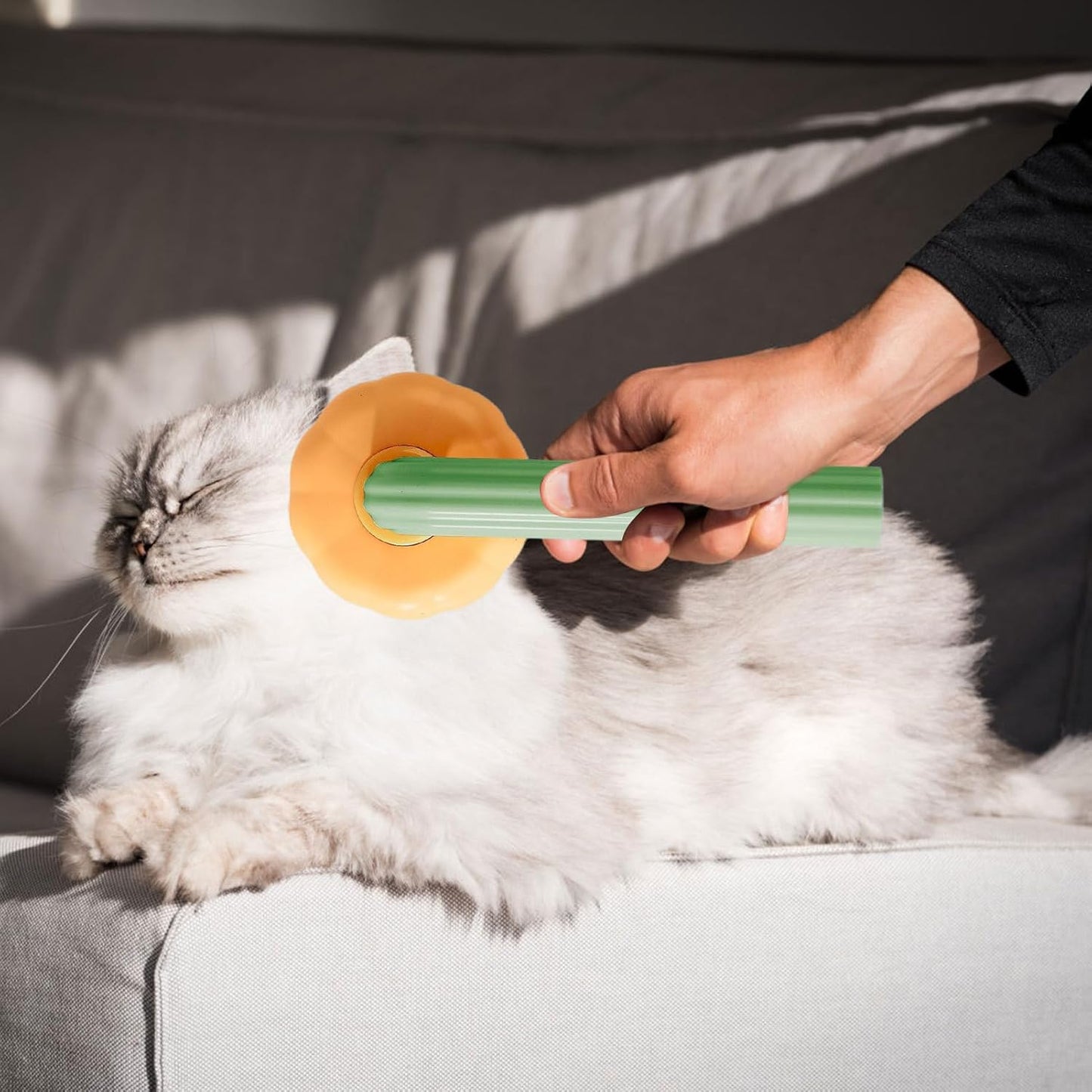 Bal Kabağı Kedi & Köpek Tüy Toplama Tarağı