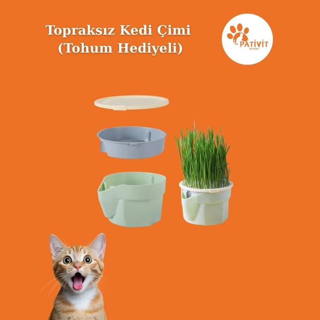 Topraksız Kedi Çimi Yetiştirme Kiti + Tohum Hediyeli
