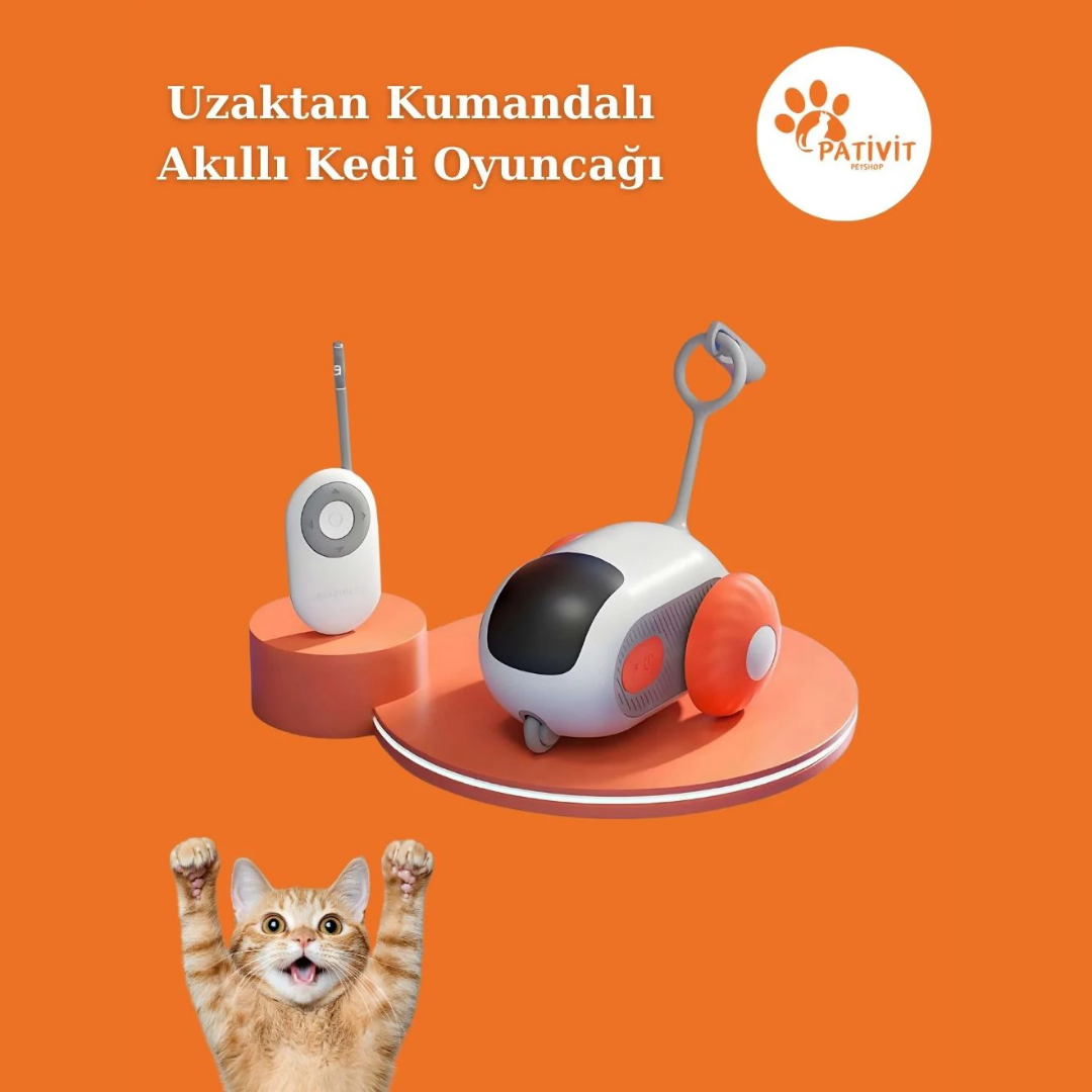 Uzaktan Kumandalı Akıllı Kedi Oyuncağı