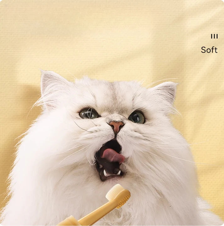 Kedi/köpek Silikon Diş Fırçası