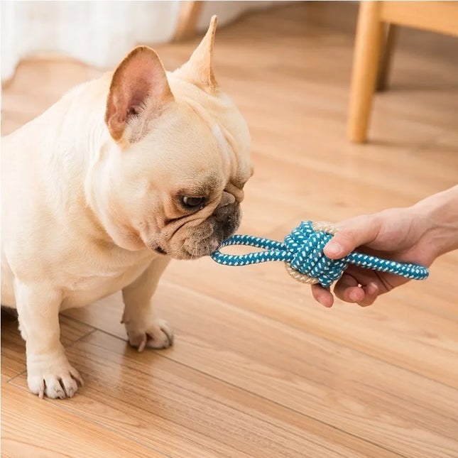 Halatlı Köpek Çiğneme Topu