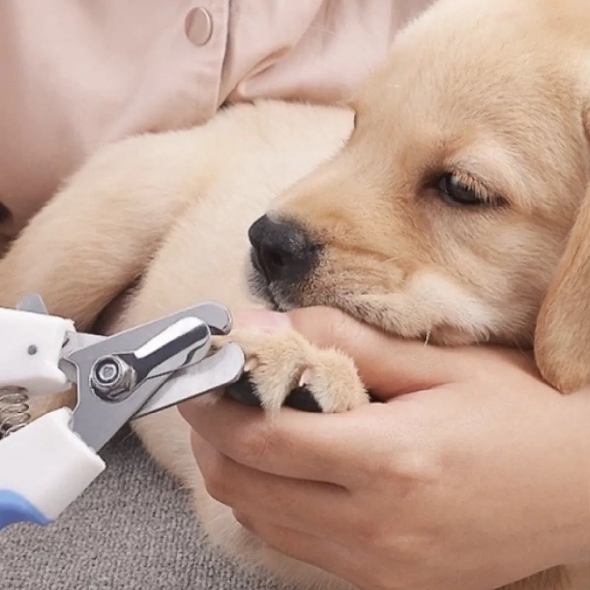 Kilitli Kedi Köpek Tırnak Makası