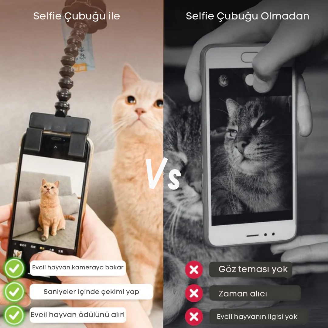 Ödül Maması Tutacağı , Kedi Köpek Selfie Çubuğu