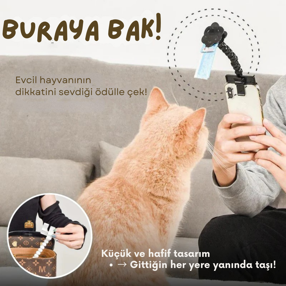 Ödül Maması Tutacağı , Kedi Köpek Selfie Çubuğu