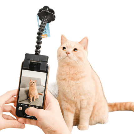 Ödül Maması Tutacağı , Kedi Köpek Selfie Çubuğu
