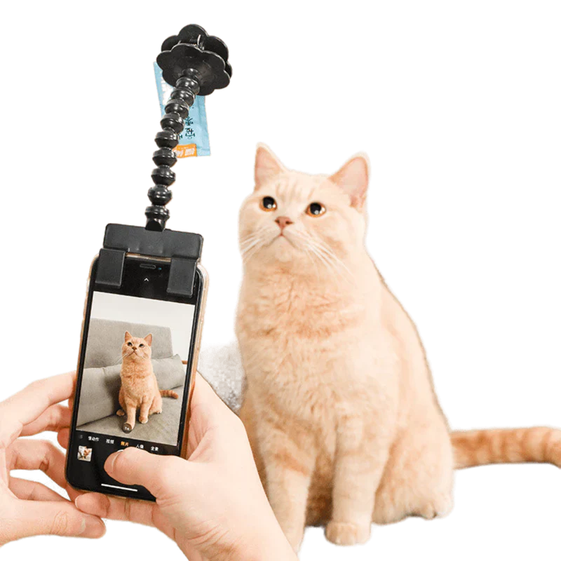 Ödül Maması Tutacağı , Kedi Köpek Selfie Çubuğu