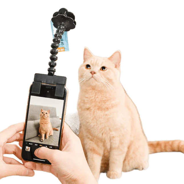 Ödül Maması Tutacağı , Kedi Köpek Selfie Çubuğu