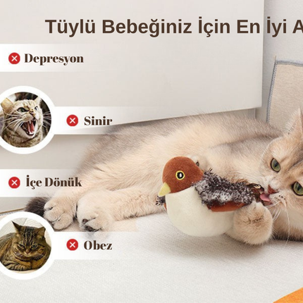 Pativit Cikcik Öten Kuş (Kanat Çırpmaz!)
