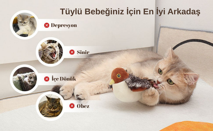 Pativit Cikcik Çırpınan Kuş