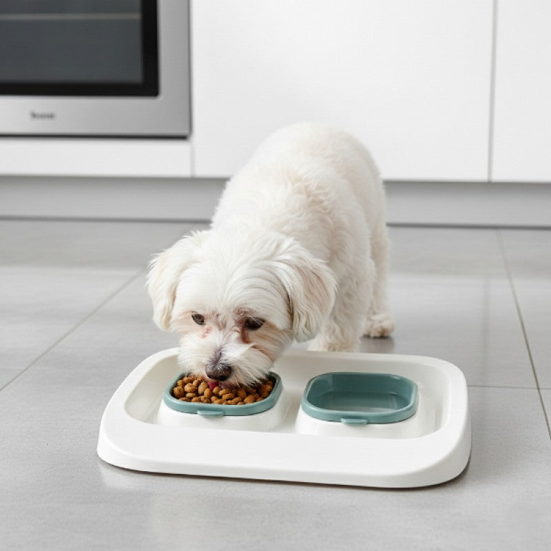 Yeşil 2'si 1 Arada Mama Ve Su Kabı