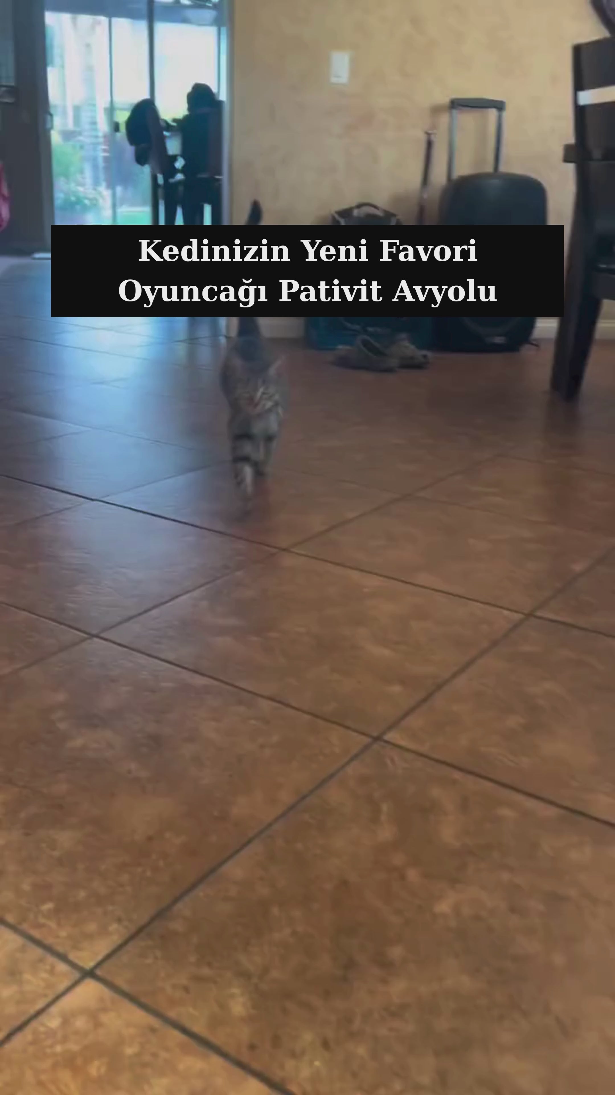 Videoyu yükle: 