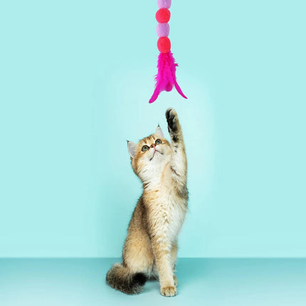 Elastik Yapışkanlı Kedi Oyun Oltası